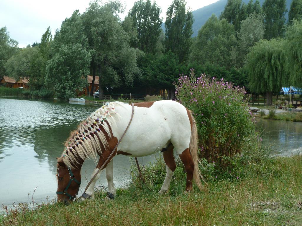 Camping La Motte Flottante La Freissinouse Kültér fotó