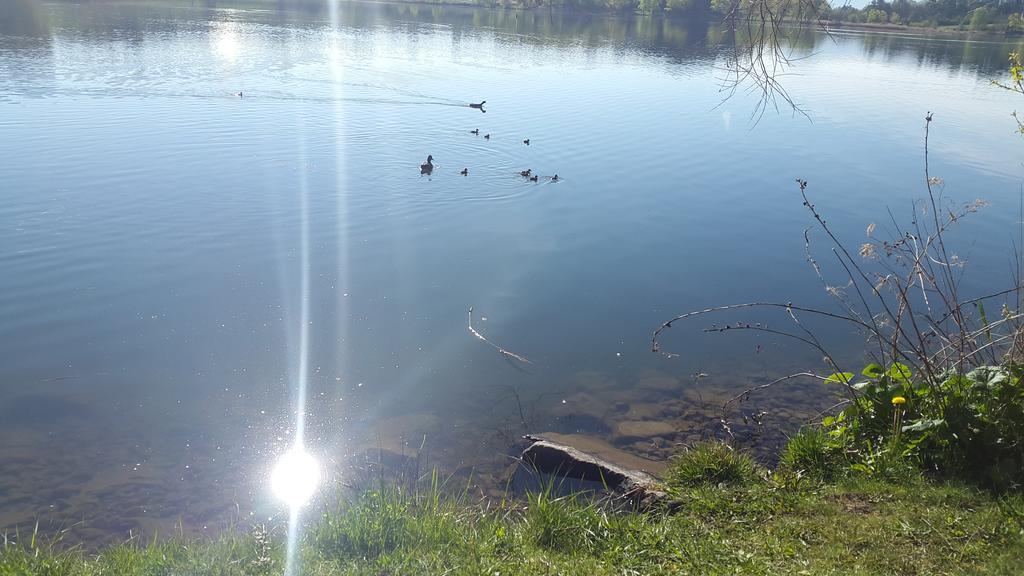 Camping La Motte Flottante La Freissinouse Kültér fotó