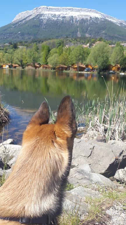 Camping La Motte Flottante La Freissinouse Kültér fotó